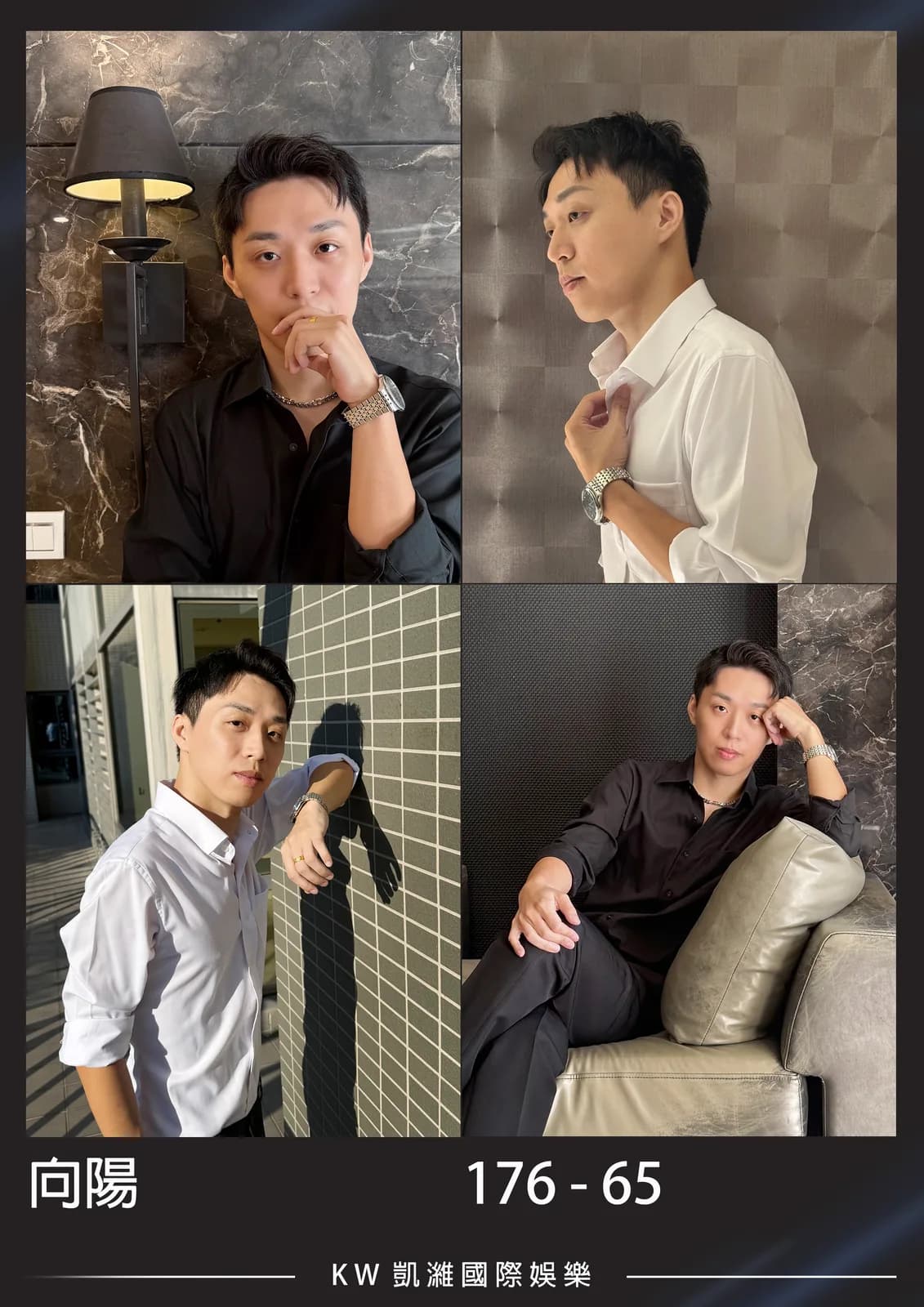 向陽的封面照